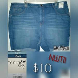 Terra & Sky Jean Shorts